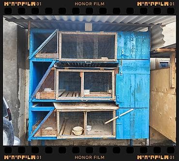 ucuz itleri: Satıram 4 dənə kliatka kredit bir il dovşan saxlama — 2