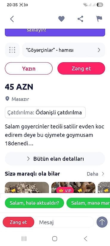 Heyvanlar üçün mallar: Bax bu paylawdigim anasi sosqani taniyun pul atdirib quw gondermir — 3