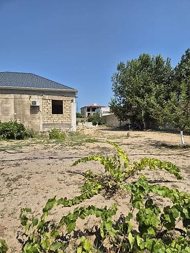 torpaq gence: Bilgəhdə 24 sot torpağ satılır sənədi paket çıxarış su qaz işığ — 3