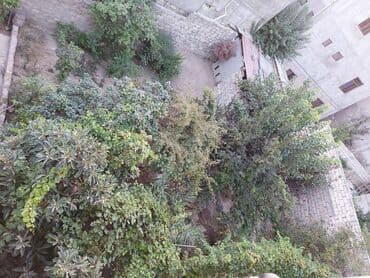 7 8 mkr satilan evler: 8 otaq, 450 kv. m, Yeni təmirli — 14