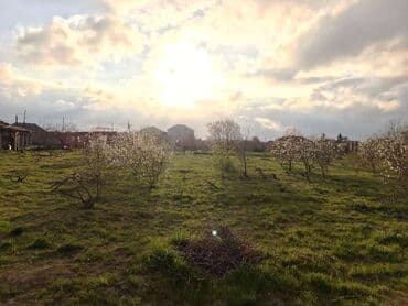 ist petrol tbilisi prospekti: 25 sot, Tikinti, Kupça (Çıxarış) — 11