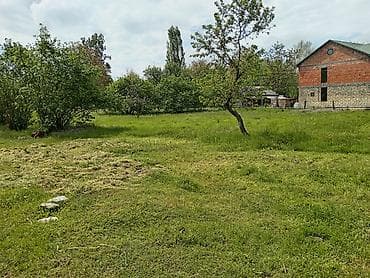tap az şirvan: 12 sot, Biznes üçün, Mülkiyyətçi, Kupça (Çıxarış) — 4