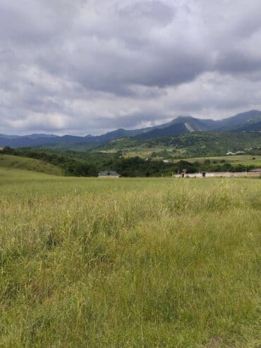 yasmada torpaq sahesi satilir: 362 sot, Biznes üçün, Mülkiyyətçi, Kupça (Çıxarış) — 2