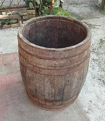 turşular: Boçka, Palıd, İşlənmiş, Ünvandan götürmə — 2