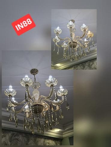 8 wamdamli cilciraq satilir 100 manata.Bütün gözleri iwlek