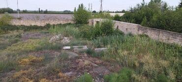 ucar: 30 sot, Biznes üçün, Mülkiyyətçi, Kupça (Çıxarış) — 2