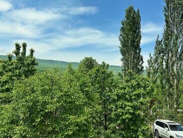 xezer rayonu bine qesebesi kiraye evler: 200 м², 7 комнат, Комби, Газ, Электричество — 22