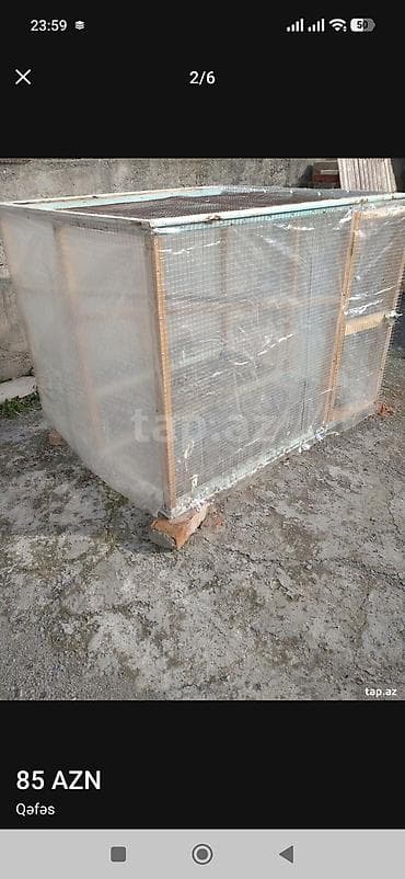 heyvanlara verilen adlar: Satilir.85 manat.unvan Şəki — 1