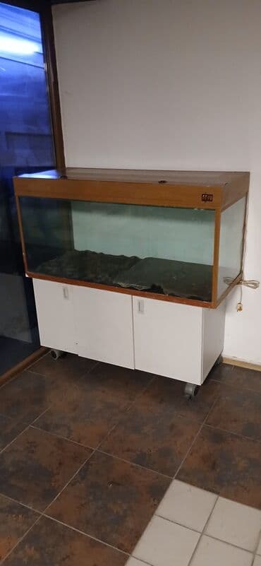 Balıqlar: Dördbucaq akvarium, Boş, 300 l — 3