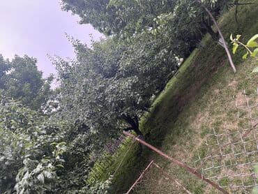 ismayıllı kirayə evlər: Для сельского хозяйства, Купчая — 13