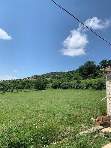 berde torpaq: 8 sot, Tikinti, Mülkiyyətçi, Kupça (Çıxarış) — 3