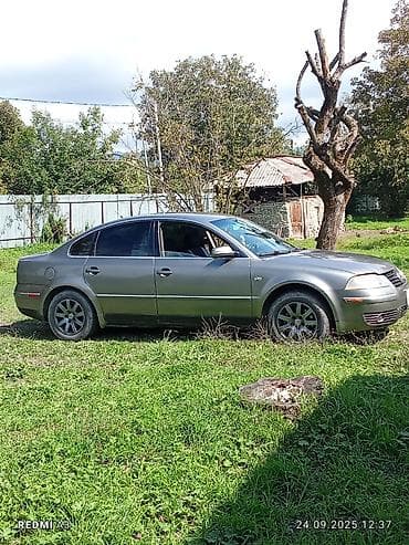 Аксессуары и тюнинг: Volkswagen Passat B5 sedan - Kuzov: 4 qapılı sedan, boz rəng - — 9