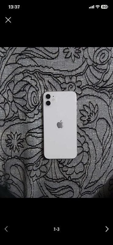 IPhone 11, Ağ
