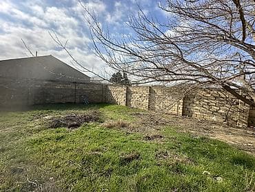 absheron: 3 sot, Tikinti, Maklerlər narahat etməsin, Kupça (Çıxarış) — 1