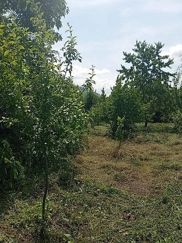 torpaq satşı: 8 sot, Biznes üçün, Mülkiyyətçi, Kupça (Çıxarış) — 4