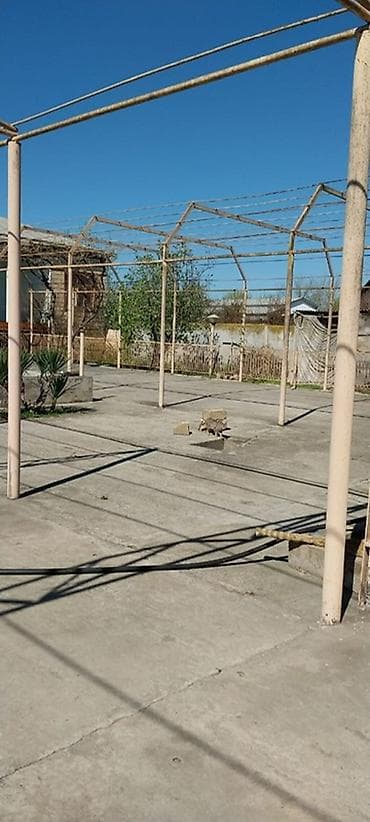 kirə evlər: 7 otaqlı, 350 kv. m, Orta təmir — 3