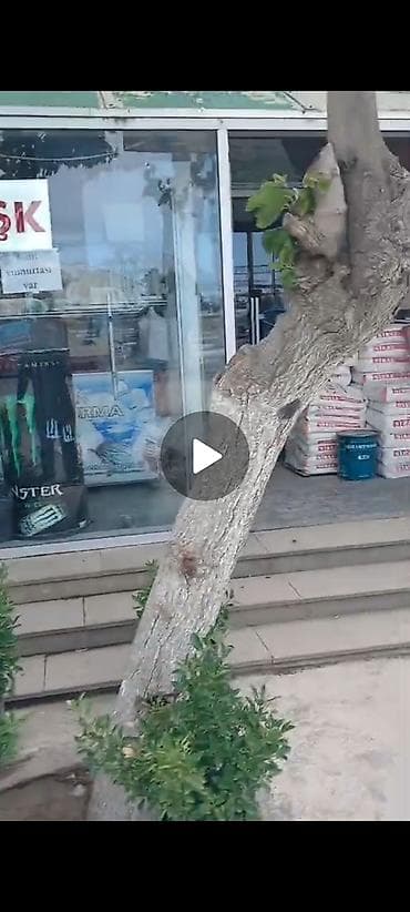 аренда опалубки корейские в бишкеке: Obyekt icareye verilir 100kv yaninda kosk doner xana kafe var 3 — 5