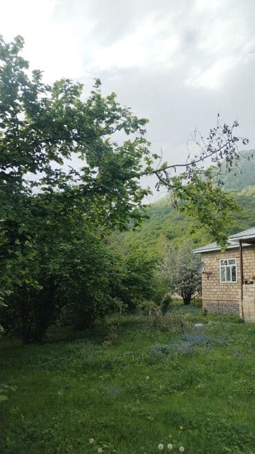 bag evlerinde is elanlari 2024: 8 sot, Kənd təsərrüfatı, Kupça (Çıxarış) — 2