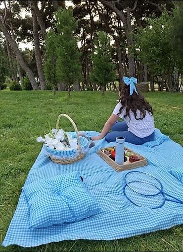 piknik oturacaq: Piknik dəsti – yumşaq doldurmalı, kvadrat naxışlı yaylıq və yastıqlar — 2
