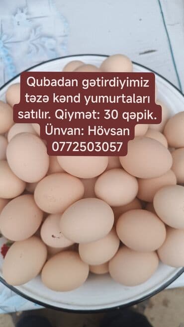 Qubadan gətirilən təzə kənd yumurtaları. - Təsvir: Təbii yemlə