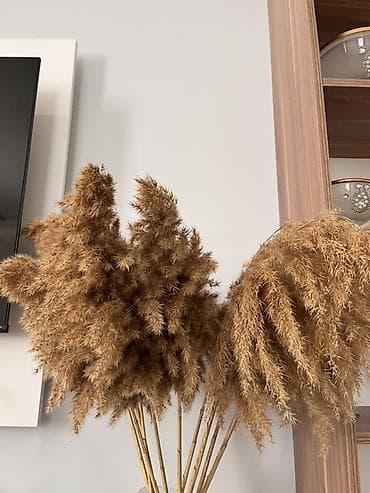 guldan: Pampas otu dekor buketi - Təbii qurudulmuş pampas otlarından — 1