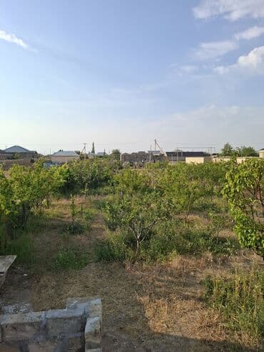 kirayə evlər yeni yasamal: 3 otaqlı, 100 kv. m, Kredit yoxdur, Yeni təmirli — 20