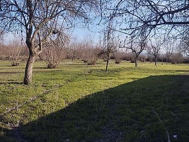 boş evler kiraye: Tikinti — 3