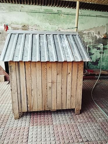 it bazari 2023: İt Yuvası .təmiz taxdadan.tekusturalı çox keyfiyyətli.Böyük.150 — 3