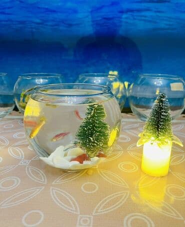 yumru akvaryum: Yumru akvarium+daşı+dekoru+matorsuz qalan 2 balıq — 3