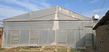 Sənaye tipli istixana kompleksi Taxda 6 metrelik 5.10 /90 ədəd 5.15