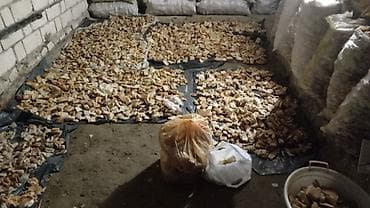 it yemləri: Qurudulmuş çörək qırıntıları – heyvan yemi və qida istehsalı üçün — 1