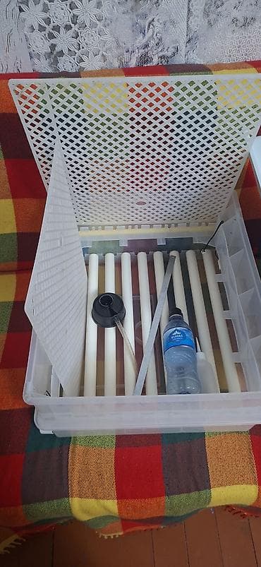 İnkubatorlar: Tam avtomatik inkubator – rəqəmsal idarəetmə paneli ilə — 2