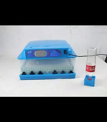 Inkubator inqibator inkibator inqubator incubator Ən Yeni Expert model — 1