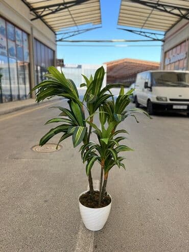 süni ağac: Daxili və xarici məkanlar üçün nəzərdə tutulmuş süni dekorativ ağac — 8