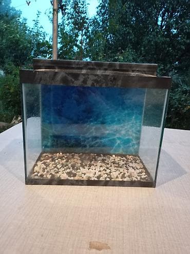 teze bazar akvarium: Akvaryum dəsti - Şüşə akvaryum, düzbucaqlı forma - Təxmini ölçülər — 3