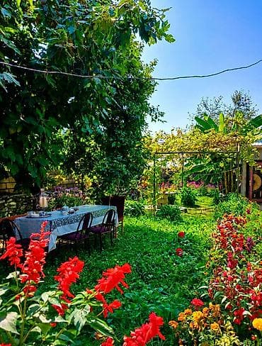🏡 Salam,Qəbələdə yerləşən rahat və geniş evimizi günlük kirayə — 2