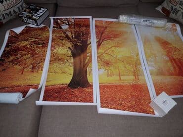 Sandıqlar: Kətan Rəsmlər, Tablolar, Şəkillər, Posterlər. Yalnız şəkillərdə — 6