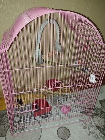 karlik dovsan satisi: Quş qəfəsi – geniş və funksional - Rəng: çəhrayı (metal karkas) - — 3