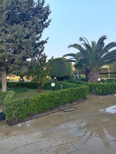 xacmaz rayonu: Bakı, Nardaran qəs., 800 kv. m, 8 otaq, Hovuzlu, Artezian quyusu, İnternet, Telefon — 6