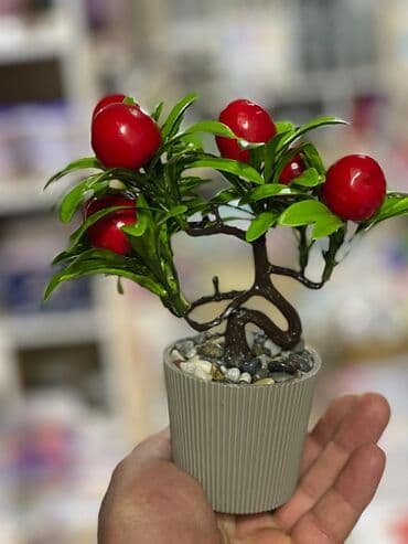 meyve agaci: Dekor meyve ağacı
Türkiye istehsalı — 1