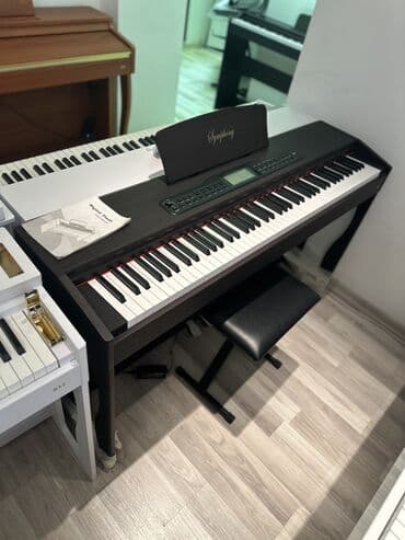 elektron piano qiymətləri: Piano, Rəqəmsal, Yeni — 1