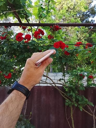 i̇phone 13 mini: IPhone 7, 32 GB, Rose Gold, Barmaq izi — 3