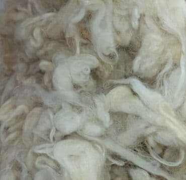 yun aliram: 1 kiloqramı 15azn. 10 kiloqramdan çox alana endirim mümkündür — 1