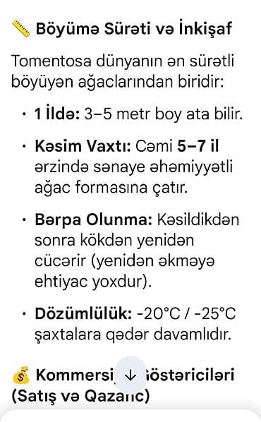 etotu bitkisi: Paulownia Tomentosa toxumları – premium sort Məhsul: - Paket: zipli — 7