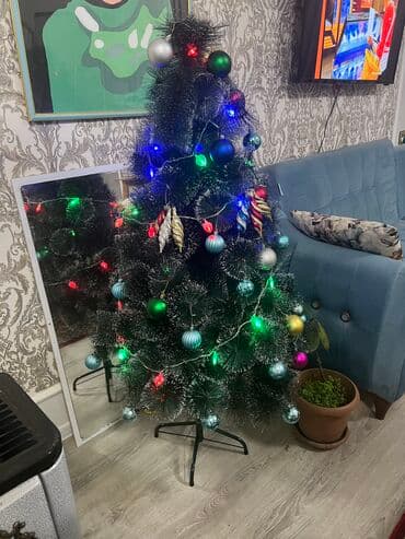 avokado ağacı: Hundurluk 1.5m. Elage wp — 1