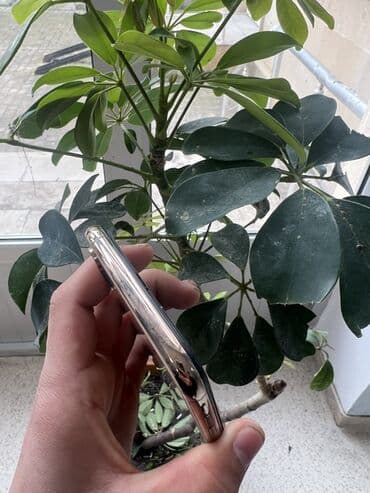 Фото и видеокамеры: IPhone Xs Max, 64 ГБ, Золотой, Face ID — 5