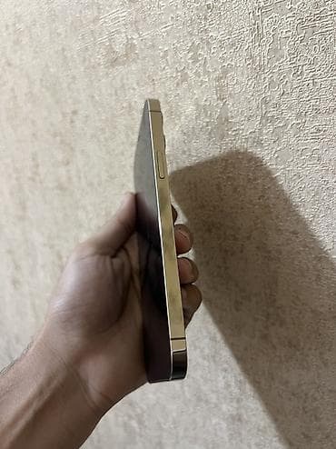 the last of: IPhone 12 Pro Max, 128 GB, Matte Gold, Face ID — 6