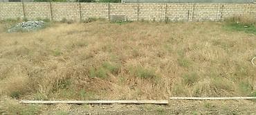 28 may qesebesi ev satilir: Kənd təsərrüfatı — 10