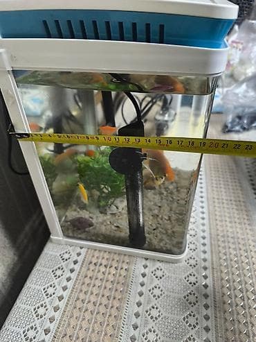 С/х животные и товары: Kompakt akvarium seti - Ölçülər (təxmini): eni 22 sm, hündürlük 30 — 1