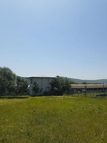 xırdalan kup: Hazır Biznes istəyənlər ücün Ferma satılır İsmayilli rayon erazisinde — 1